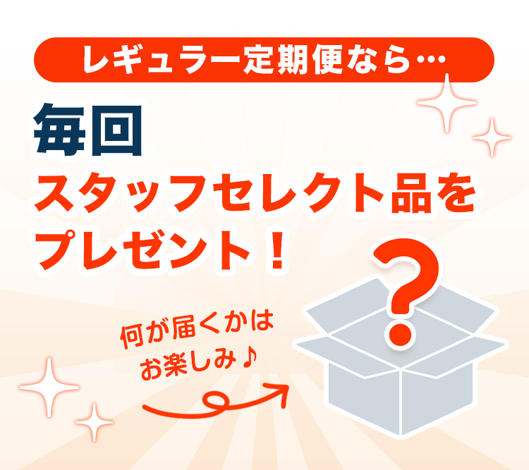 【レギュラー定期便】GABA100 睡活ビネガーストレート 48パック